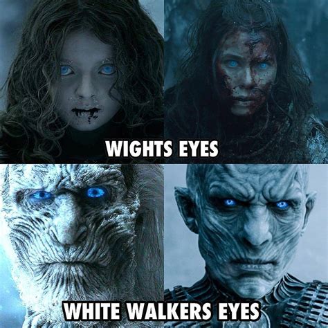 difference between white walker and wight